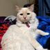 Janie Shepard Sauls - Facebook