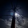 Janie Simpson236 - @jaysimpson1190 - TikTok