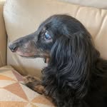 Janie Jarrell Smart - @njsmart55 - Instagram