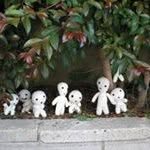 Janet Womble - @janetwomble - Instagram