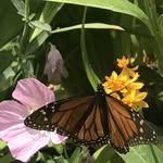 Janice Workman - @janice_workman - Instagram