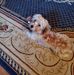 Janie Wright - Facebook