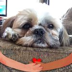 Janice Yates - @yates.janice - Instagram
