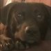 Janine Atkinson - Facebook
