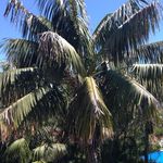 Janine Barry - @janine.barry.14 - Instagram