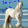 Janine Barry - @janinebarry - TikTok