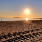 Janine E-Bear - @sandsunshine8 - Instagram