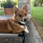 Janine Murray Beatty - @j.m.beatty - Instagram
