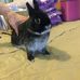 Janine Blythe - Facebook