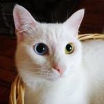 VIVILUNA - @janineblythehere - Instagram
