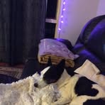 Janine Boyd - Facebook