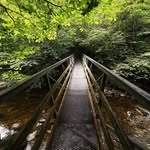 Janine Boyd - @neen1973 - Instagram