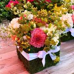 Janine Boyle - @petalsbynini - Instagram