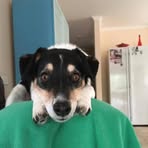 Janine Bray - Facebook