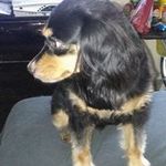 JANINE BRYAN - @janinebryan65 - Instagram