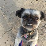 Janine Busch - @janinebusch84 - Instagram