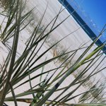 Janine Cameron - @jellybeen17 - Instagram