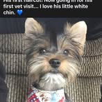 Jeanine Cartwright - Facebook