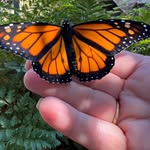 Janine Clements - @janine.clements.37 - Instagram