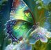 Jeanine Franck Clement - Facebook