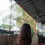 Janine Collado Bautista - Facebook