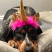 Janine Connell - Facebook