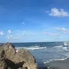 janinecorbin - @janinecorbin - TikTok