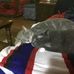Janine Dennis - Facebook