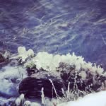 Janine Drews - @janine_drews - Instagram