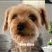 Jeanine Estes-Jantz - Facebook
