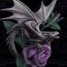 Janine Farmer - Facebook