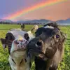 Janine Farmer - @janinefarmer61 - TikTok