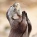 Janine Friedman - Facebook