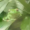 Janine Gerber - @ts.67347 - TikTok