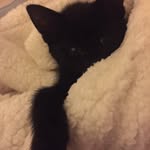 Janine Goodwin - @janine.goodwin.5 - Instagram