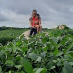 Janine Sartori R. Heck - @sartorijanine31 - Instagram