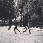 Janine Herrmann - @quaterman_6 - Instagram