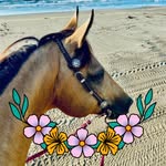 Janine Hess - @hessjanine - Instagram