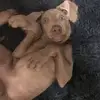 janinehesse4 - @janinehesse4 - TikTok