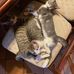 Janine Hicks - Facebook