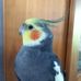 Janine Hogan - Facebook