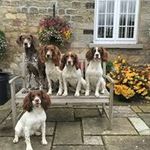Janine Holmes - @36thechase - Instagram