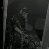 janine hook - @janine2hook - TikTok