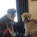 Janine Hutton - Facebook