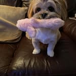 Janine Jackson - @janinejackson123 - Instagram