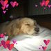 Janine Knox - Facebook