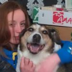 Janine Knox - @janine.knox.3 - Instagram