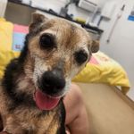 Janine Lamb Roberts - @j9.roberts - Instagram