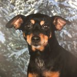 Janine Lamberz - @janine_lamberz - Instagram