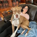 Janine Larson - @janinelarson - Instagram